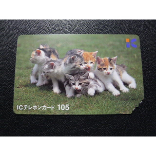 ㊣集卡人㊣日本電話卡 - NTT IC 式（貓）
