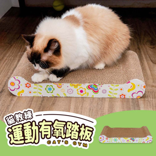 毛孩的秘密生活《貓教練-運動有氧踏板》貓抓板 骨頭造型 耐磨 玩具球 磨爪 瓦楞紙 貓玩具 附貓草