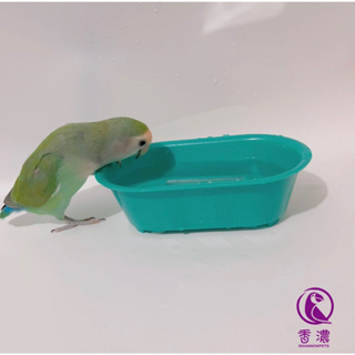 香濃❤HAGEN哈根小鳥亮光浴盆 顏色隨機