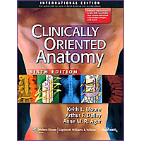 Clinically Oriented Anatomy 6/e  作者:Moore