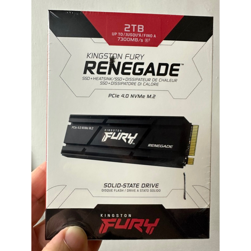 Kingston FURY Renegade 2TB散熱片版本