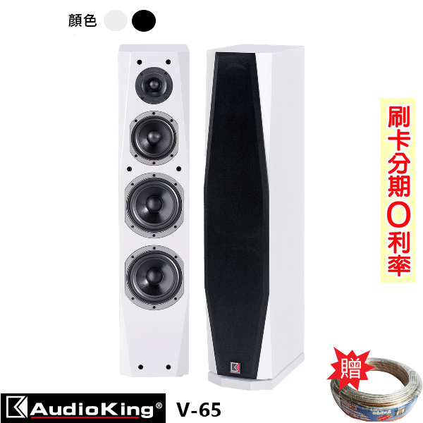 【AudioKing】V-65 雙6.5吋音樂/歌唱專業喇叭 (黑/白/對) 贈SPK-200B喇叭線25M 全新公司貨