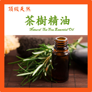 中國茶樹油 茶樹精油 特級天然單方精油 草本植物精油 Tea Tree Natural Essential Oil