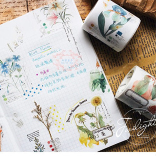 🌿自然植物系列 紙膠帶 花朵 昆蟲 手帳素材🌿秘密盒子🌺