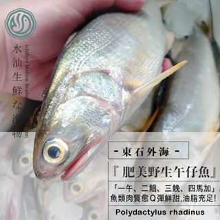 【水汕海物】東石外海海捕 肥美野生午仔魚。『實體店面、品質保證』