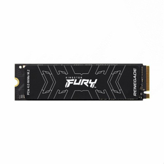 Kingston 金士頓 FURY Renegade PCIe 4.0 NVMe M.2 SSD 固態硬碟