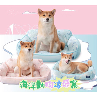 臺灣現貨 可愛海洋動物 涼感窩 沙發窩 抗菌 寵物涼床 寵物涼墊 涼感睡墊 冰絲涼窩 涼床 睡床 狗窩 狗床 寵物窩