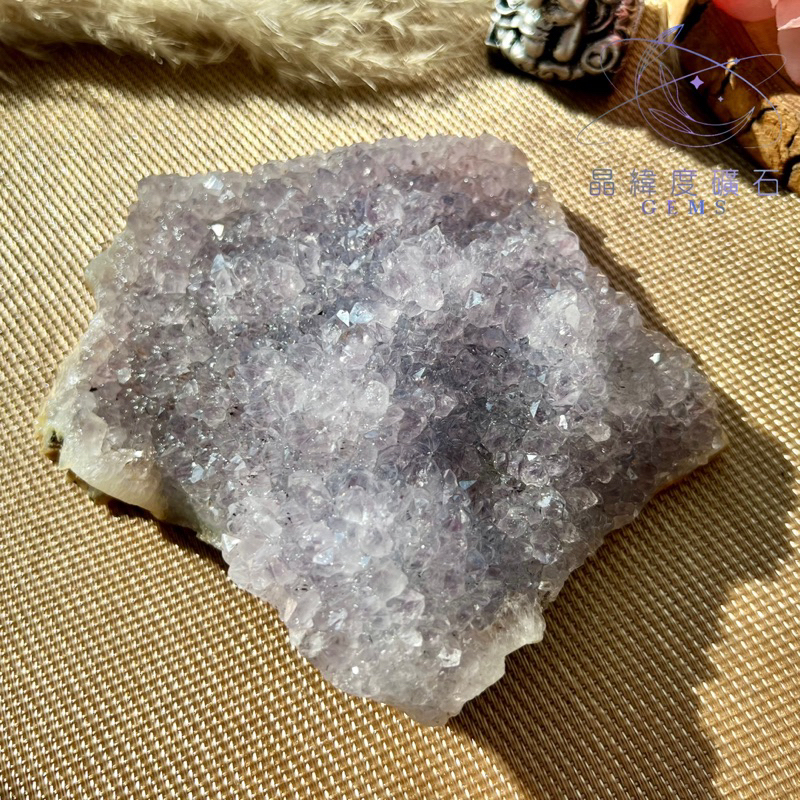 《晶緯度礦石》巴西紫羅蘭色紫水晶片包裹黑髮
