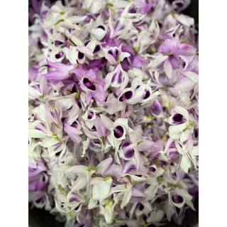 花滿樓複方蒸餾純露【魔女柑仔店】- 以金銀花,柚花,橘子花,梔子,玫瑰,晚香玉,桂花蒸餾萃取
