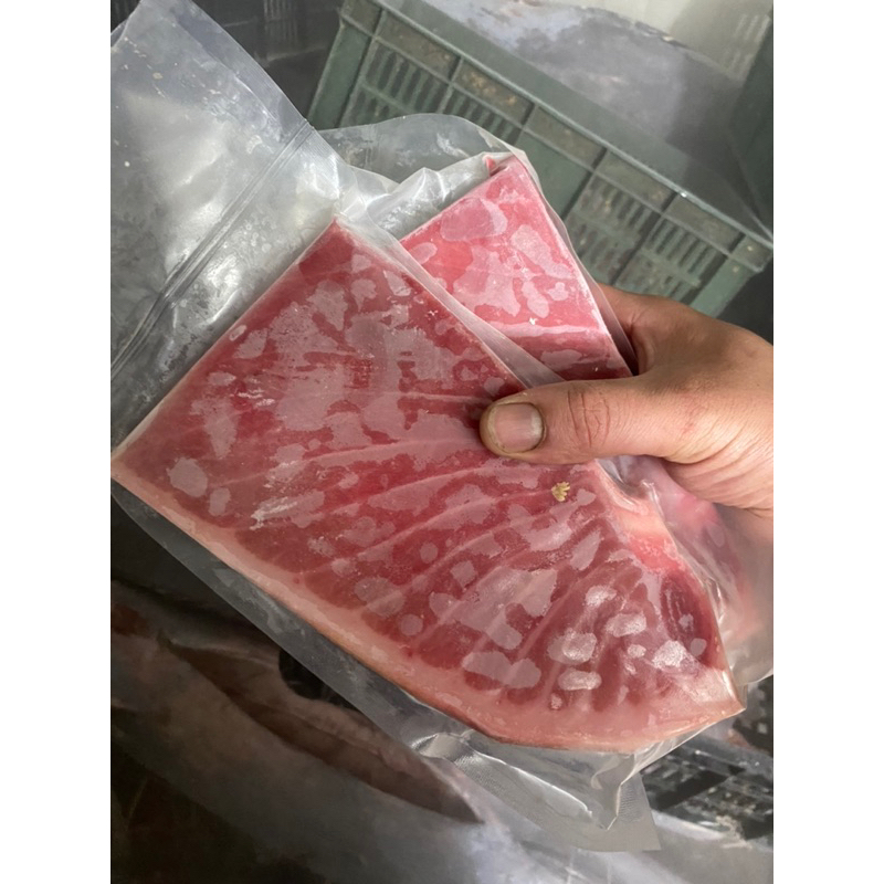 東港黑鮪魚 冷凍腹部磚 上腹 中腹 下腹 三角