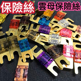 【臺灣現貨】雲母保險絲 保險絲 汽車保險絲 20A 150A 車用保險絲 100a保險絲 40a保險絲