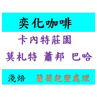 莫札特 哥斯大黎加 卡內特莊園 音樂家系列 莫札特 精品咖啡 手沖咖啡豆 耳掛 巴哈 蕭邦
