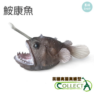 collectA 鮟康魚 英國高擬真模型