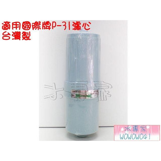 水專家=適用Panasonic非原廠國際牌P-31MJRC電解水濾心[台灣製造] P31 MJ31 7505