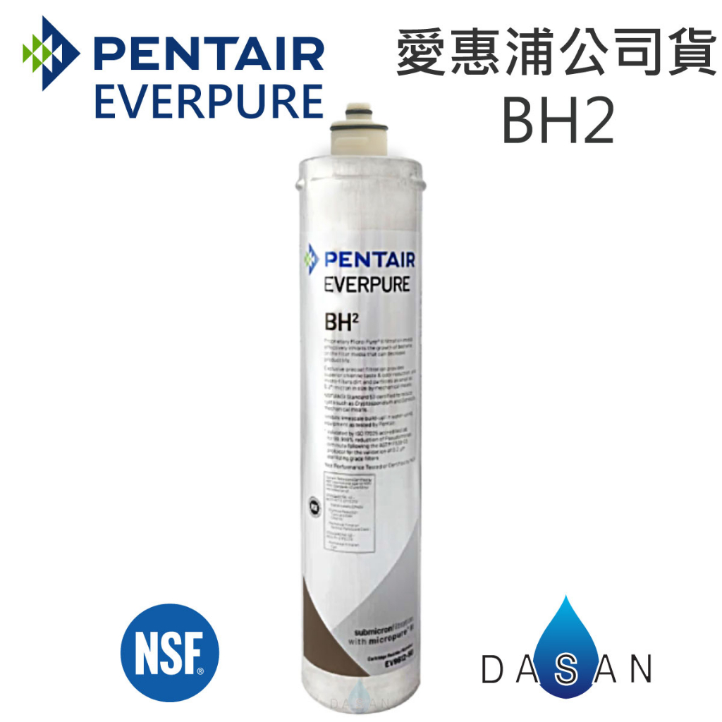 【台灣愛惠浦】BH2 金色雷射標籤 原廠公司貨 EVERPURE 濾芯 濾心 贈禮卷300 大山淨水