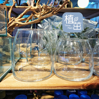 植茁🌿現貨 微景觀 生態瓶 生態缸 玻璃瓶 苔蘚生態造景