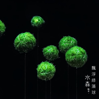 【水森職栽】綠藻球浮球 1顆60元 免CO2 綠藻球 綠絲絨藻 漂浮水草 浮球 中後景 免CO2 難度/簡易 SE139