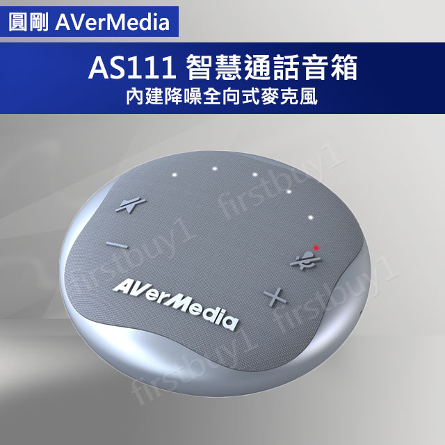 【優選】AVerMedia 圓剛 AS111 智慧通話音箱 視訊教學電話麥克風 遠距USB-A 追劇抗噪喇叭 含稅開發票
