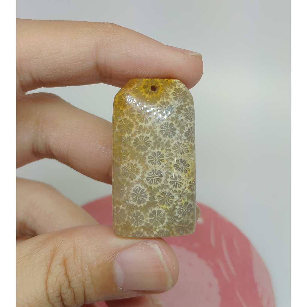 天然印尼產 珊瑚玉墬子/ 透光玉髓化明顯小花