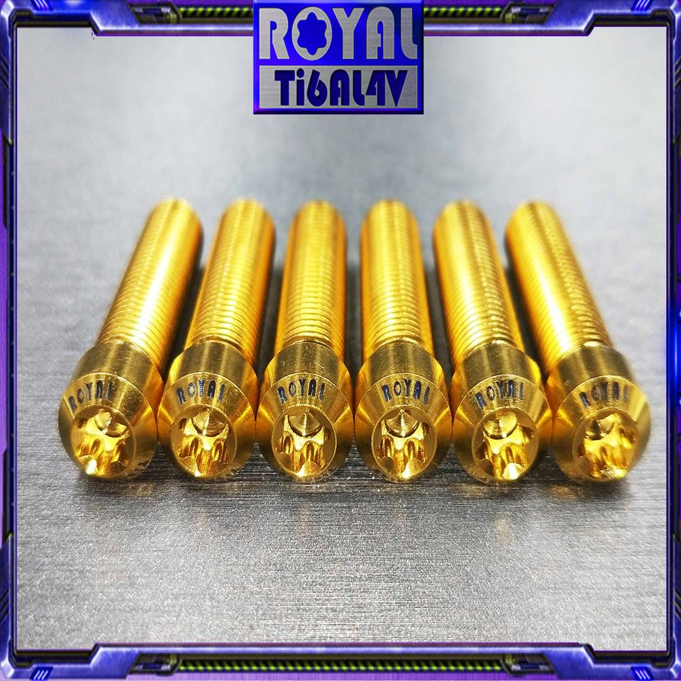 【瘋螺絲】ROYAL鈦合金螺絲★M10*40B P1.25  64正鈦螺絲★CNC鍛造內梅花.內星型螺絲★土豪金