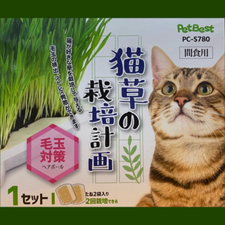 貓草栽培計畫 3合1化毛種植盒 新鮮貓草 種植