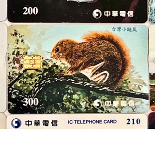 時光膠囊尋找失落的通話記憶🏮中華電信電話公用電話卡📞IC卡。IC電話卡。［收藏用］