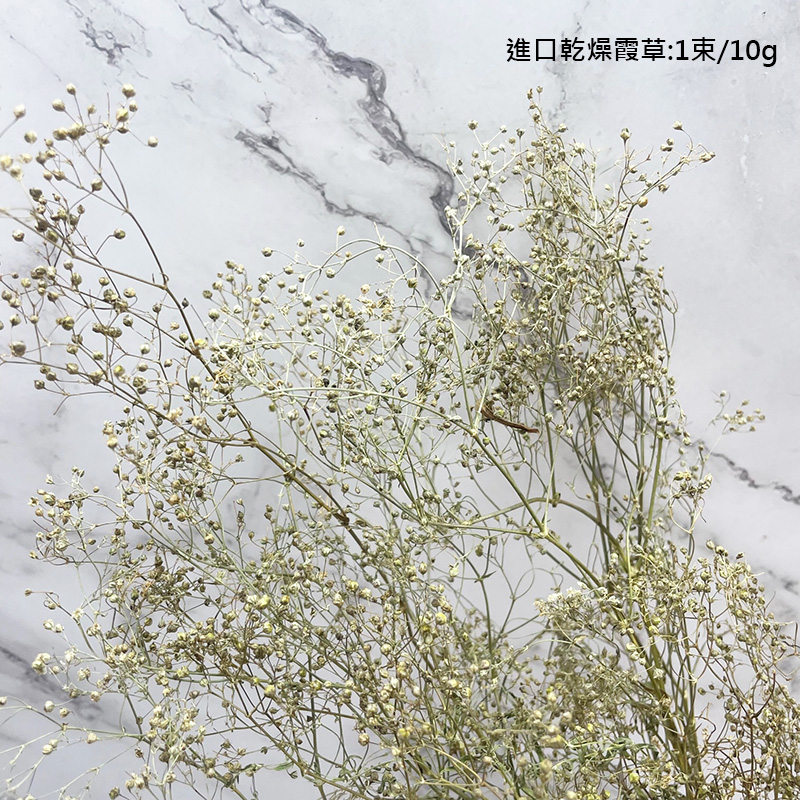 進口乾燥天然霞草-乾燥花圈 乾燥花束 不凋花 拍照道具 手作素材 室內擺飾 乾燥花材 裝飾插花鄉村風