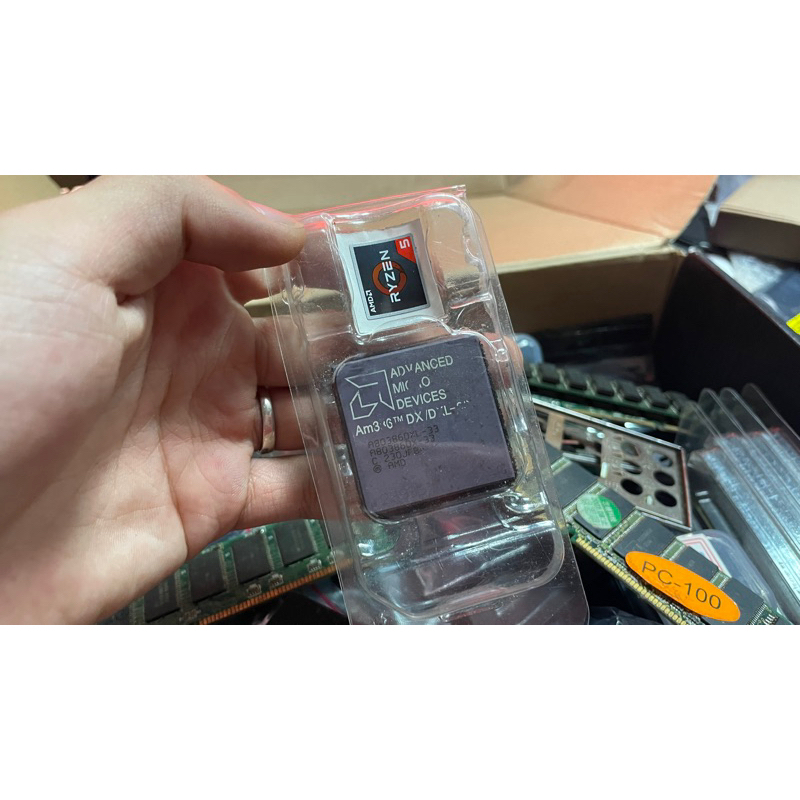 (惡搞) AMD Ryzen5 9500X