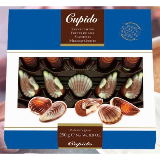 比利時 cupido 酷比特 貝殼榛果夾心 巧克力 250公克