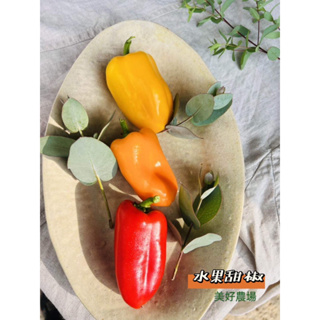 水果甜椒 產銷履歷溫室水果甜椒MiniSweet Peppers高甜度水果甜椒🌶️每袋300克