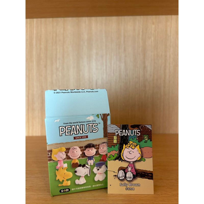 史努比 大頭系列公仔 正版 PEANUTS 大頭公仔 盒玩 盲盒 盲抽