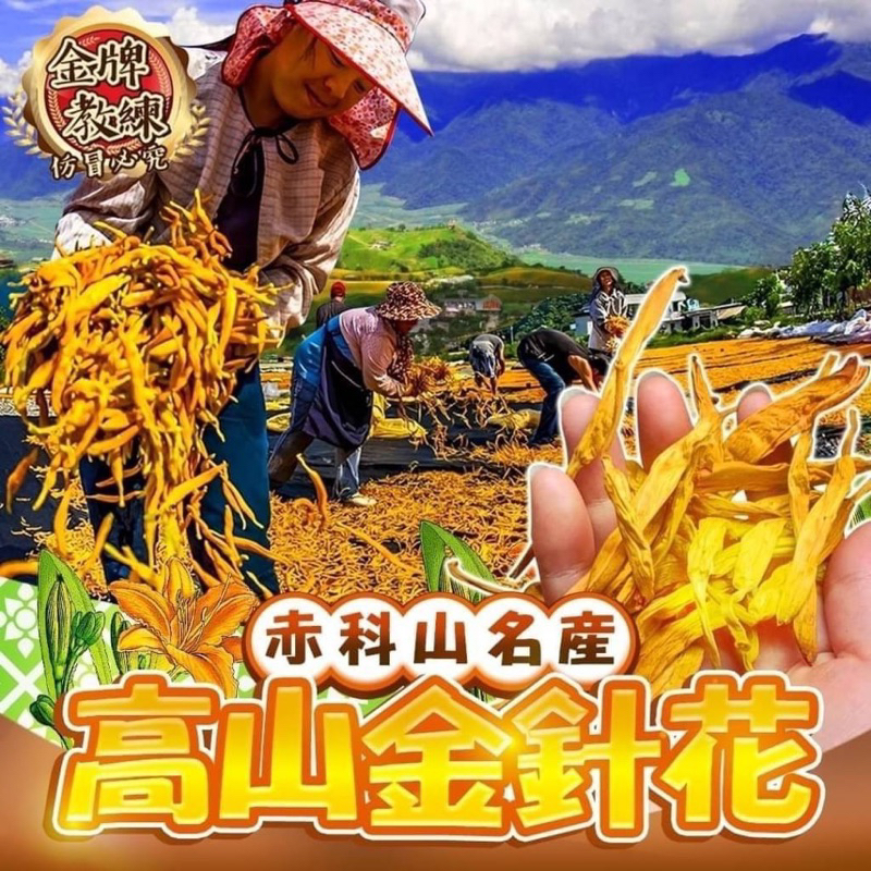 24小時內快速出貨❤️ 出清特價～金牌教練 赤科山小農金針花 高山金針花