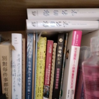 二手書籍多本出售如圖 你的名字外傳 魔法日記 做自己的公主 英文文法