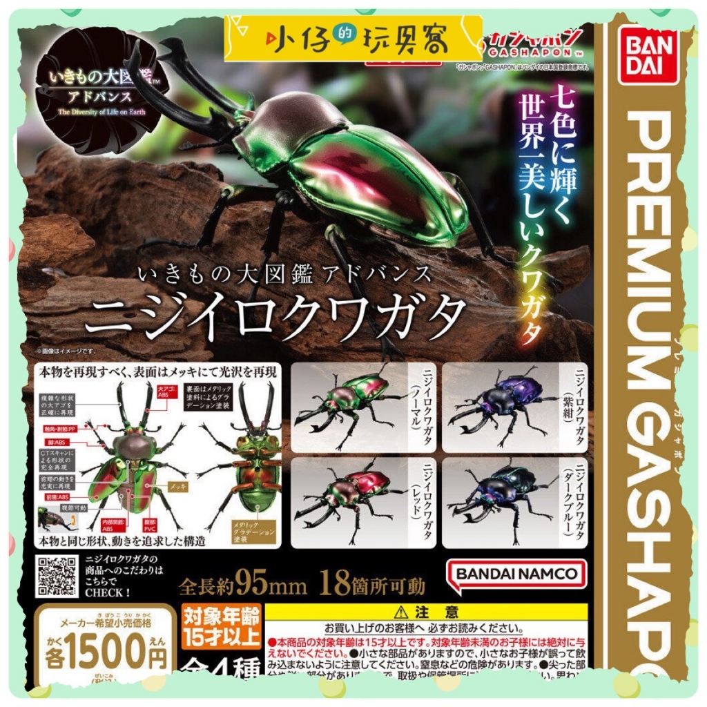 小仔的玩具窩★日版GASHAPON「現貨」 BANDAI 生物大圖鑑 彩虹鍬 最美鍬形蟲 高品質 可動 生態大圖鑑