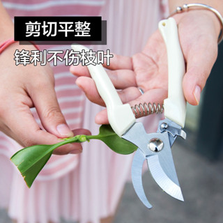 不鏽鋼園藝剪 花園剪 修樹枝剪刀 戶外園林工具 果園摘果剪刀 多功能園藝剪刀