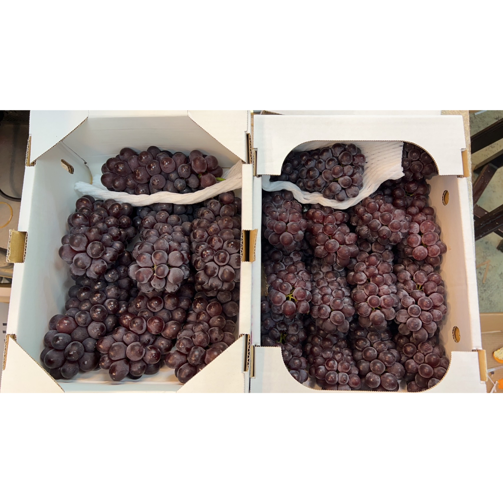 閔凡水果-日本長野小珍珠葡萄 2kg