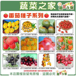【蔬菜之家滿額免運】番茄 蕃茄種子系列 小番茄 大番茄 紫番茄 黃果小番茄 矮種番茄 金皇鮮果番茄 櫻蜜小番茄 金鈴番