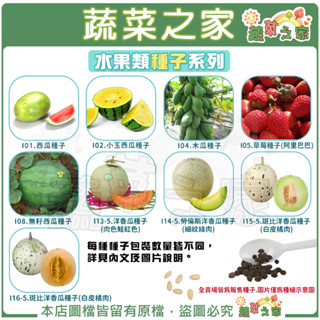 【蔬菜之家滿額免運】水果種子系列(各包裝數量詳見內文及圖片)西瓜 小玉西瓜 木瓜 草莓 洋香瓜 香瓜 哈密瓜 園藝 植物