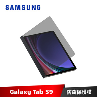 Samsung Galaxy Tab S9 平板防窺保護膜 X710 X716