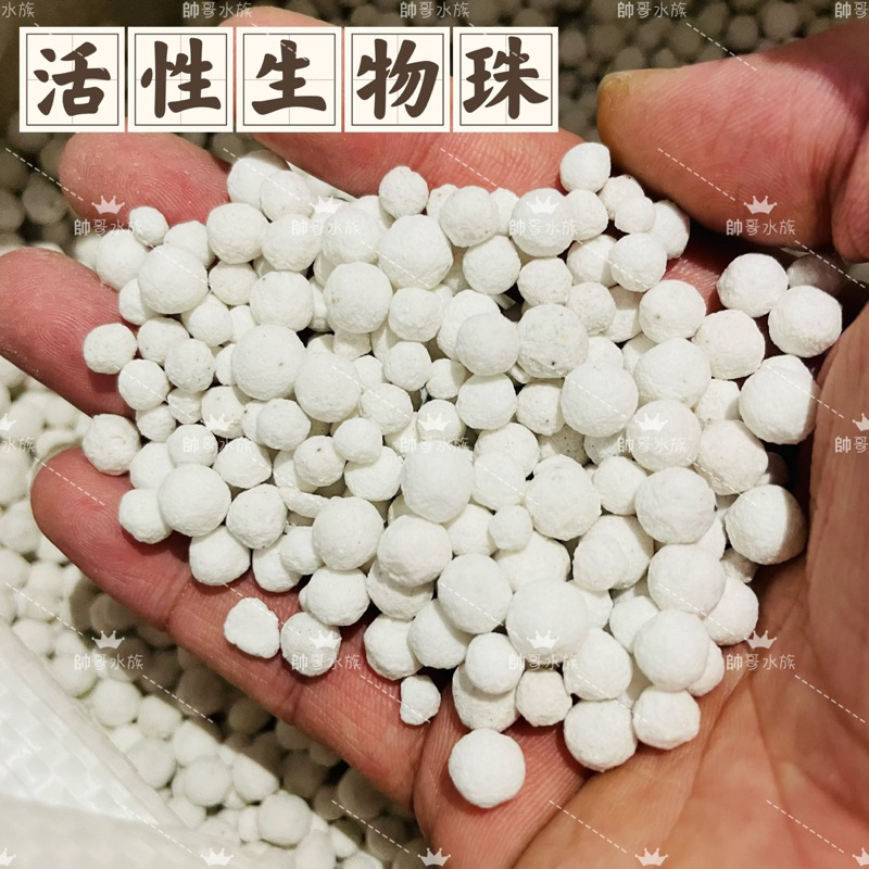 帥哥水族【白色 活性生物珠】陶瓷珠 石英球 陶瓷環珠 濾材 培菌 (散裝) 培菌 硝化菌 過濾