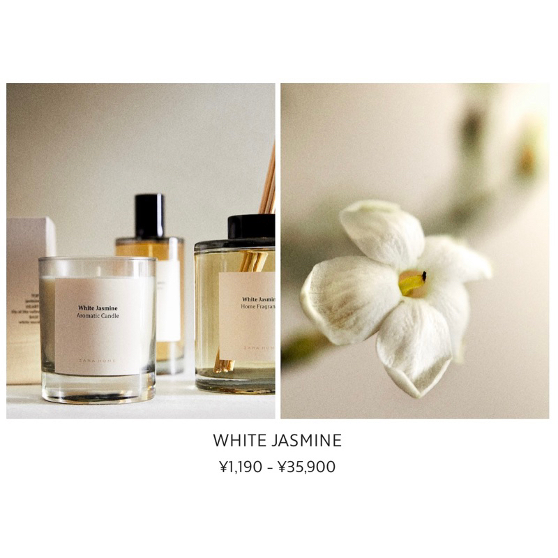 🫧售完不補貨🫧Zara Home擴香系列➸ White Jasmine