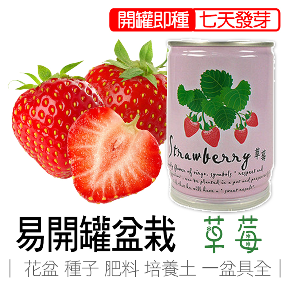 【買5送1】草莓 盆栽 瓜果農場 iPlant 易開罐頭盆栽 花卉農場 懶人盆栽 種子 盆栽 台灣製