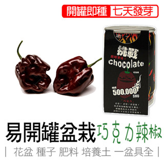 巧克力辣椒 辣椒盆栽 蔬果盆栽 iPlant 易開罐頭盆栽 花卉農場 懶人盆栽 種子 香草盆栽 臺灣製