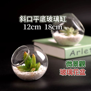 【草葉日和】花器 花盆 微景觀 盆栽 苔蘚 斜口平盆玻璃缸 生態瓶 多肉植物 室內植物 玻璃花瓶 辦公室小物 魚缸
