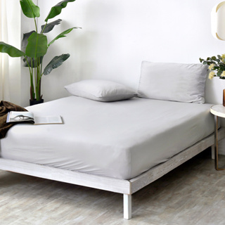 La Belle 超COOL超涼感 床包枕套組 單/雙/加 格蕾寢飾 純色PURE 灰色 抗菌 涼感纖維 素色 可超取