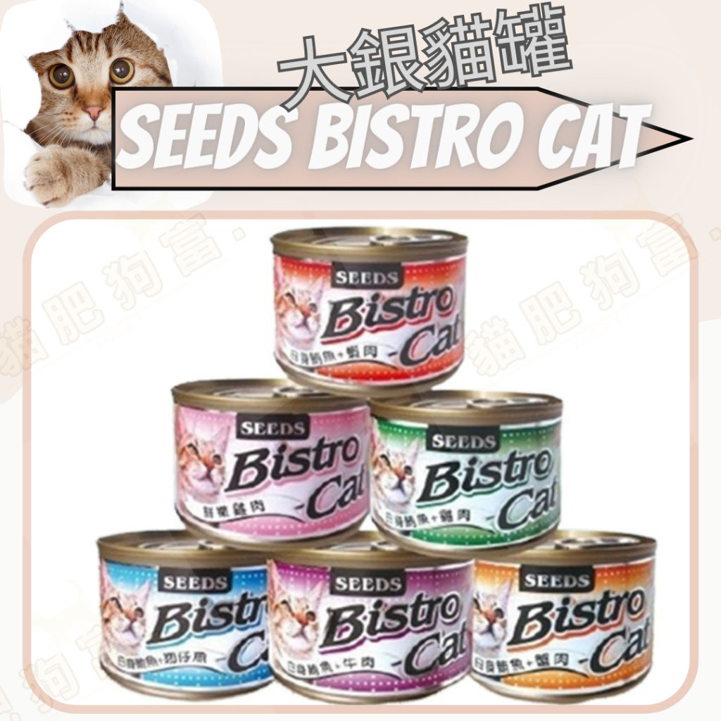 😺貓肥狗富🐶SEEDS 惜時 Bistro Cat 特級銀罐 170g 貓罐 特級銀 大銀貓罐頭 銀罐 喵罐