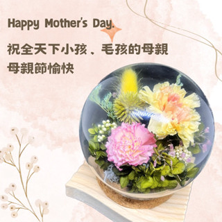 「九喵花藝」康乃馨永生花禮 玻璃罩/軟木塞 永生花/索拉花/乾燥花 母親節賀禮