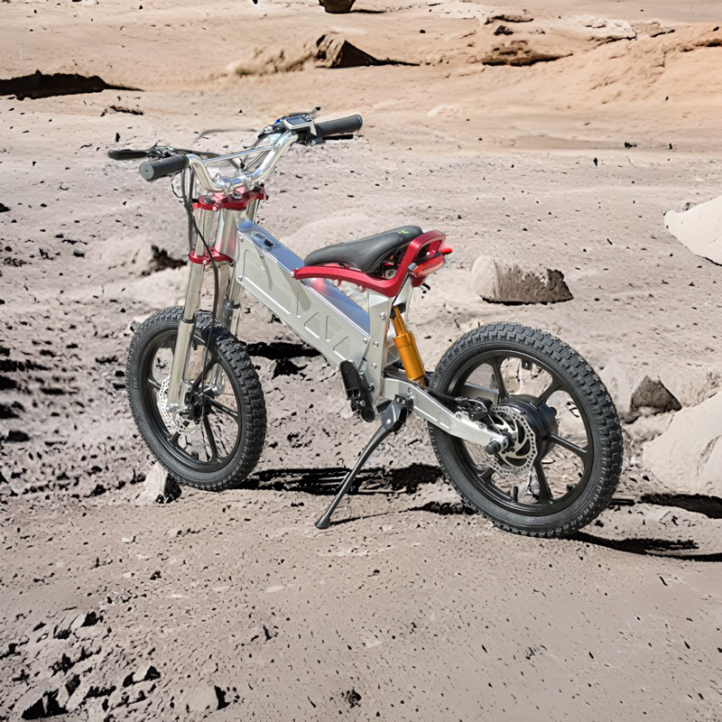 再新加坡今年四月最新即將上市電動自行車款  e-bike