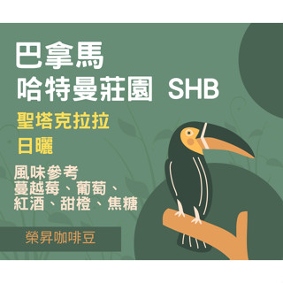 【榮昇咖啡豆】巴拿馬哈特曼莊園 日曬 咖啡豆咖啡熟豆