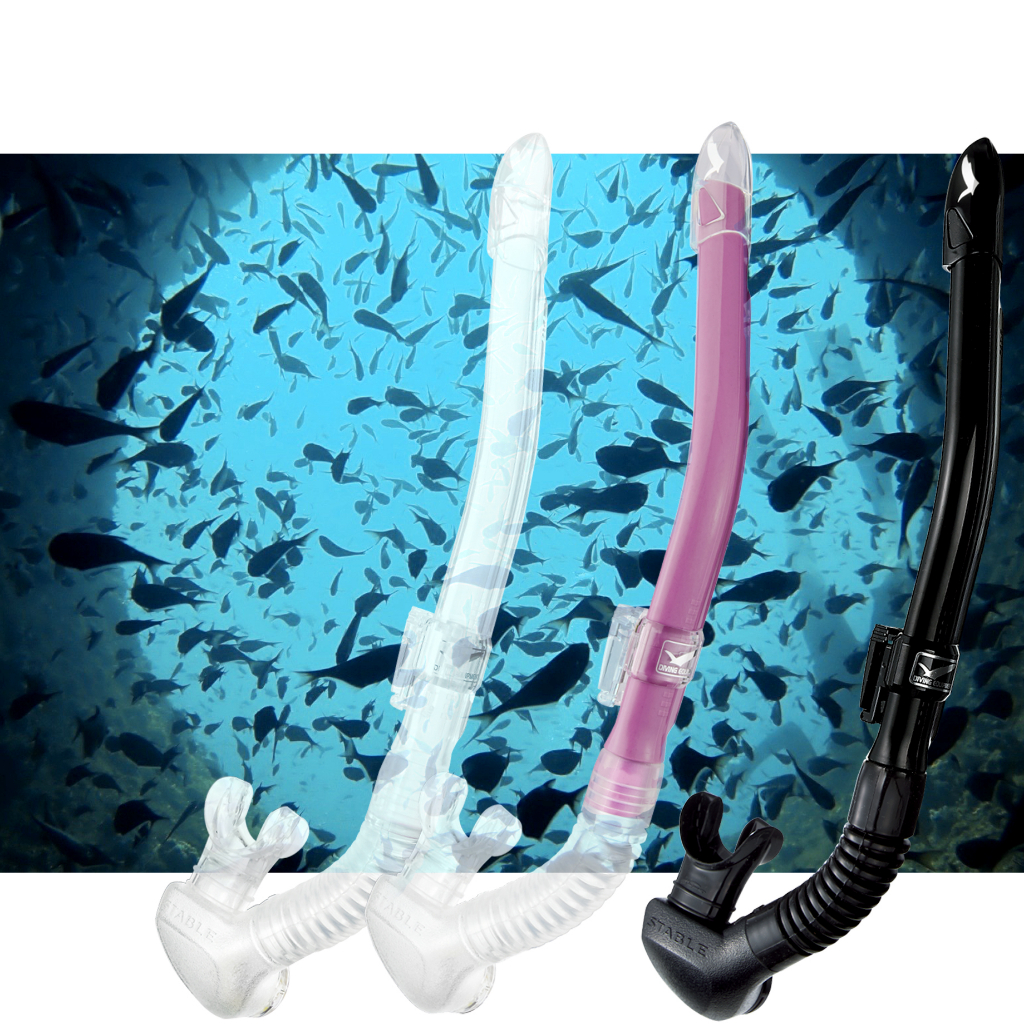 &lt;三川潛水&gt; GULL 日本製 半乾式防浪頭呼吸管 水肺輕裝